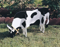Pull-Apart Cow